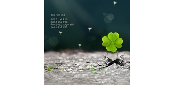 心態(tài)，決定你人生（每天必讀）