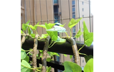 裝飾仿真樹(shù)藤條